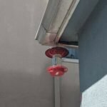 No Drip - Bee Proof Bird Feeder