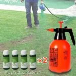 Last Day Save 45% 0FF -🧊Hot Sale Green Grass Lawn Spray-ONLY $9.99!!!