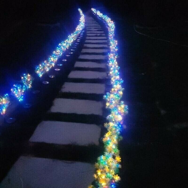 Solar Carnation Flower Garden Lights(SET OF TWO)