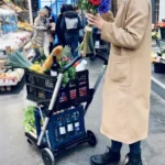 🔥Clearance Price🔥Multipurpose Folding Cart😍